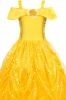 Kids Costumes to Hire - Belle Glitter Dress - GIRL